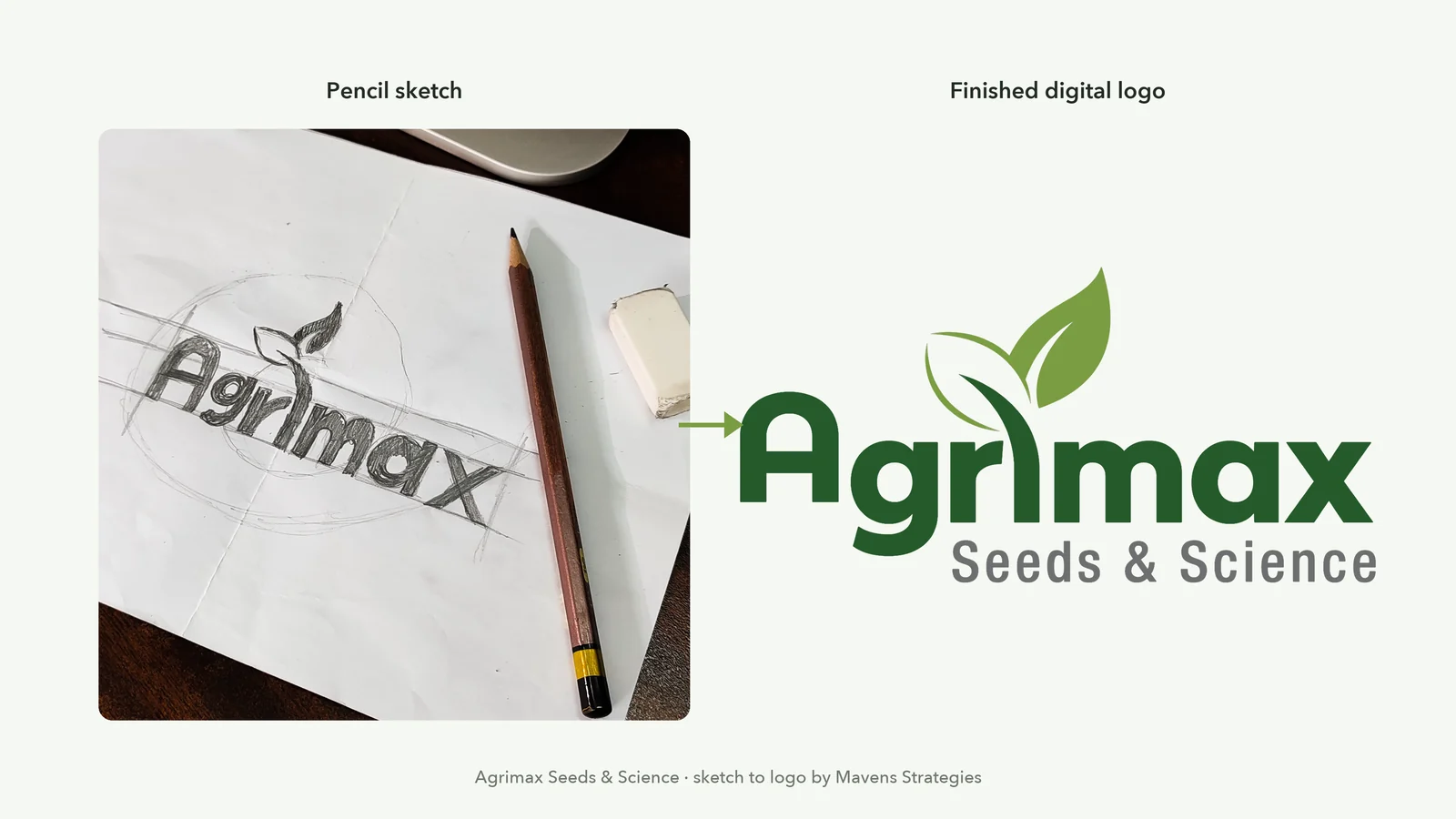 Agrimax logo process: hand-drawn pencil sketch of the Agrimax wordmark and seedling beside the finished green digital logo